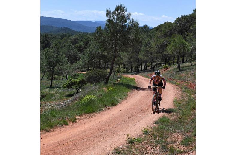 Kinesis Fernweh Titanium MTB Frame, Small Kinesis Fernweh Titanium MTB Frame, Small