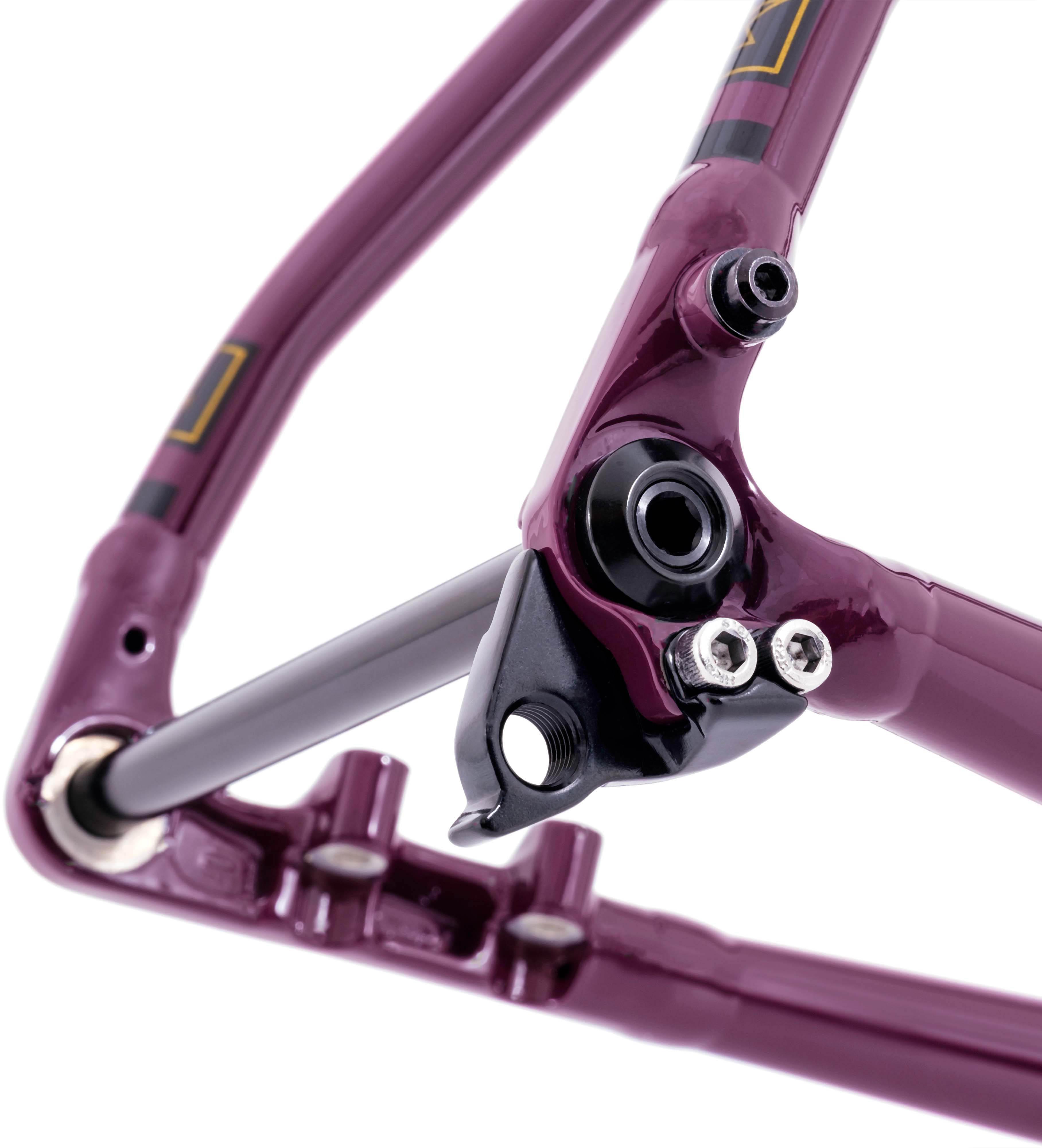 Kinesis Tripster AT Gravel Frameset