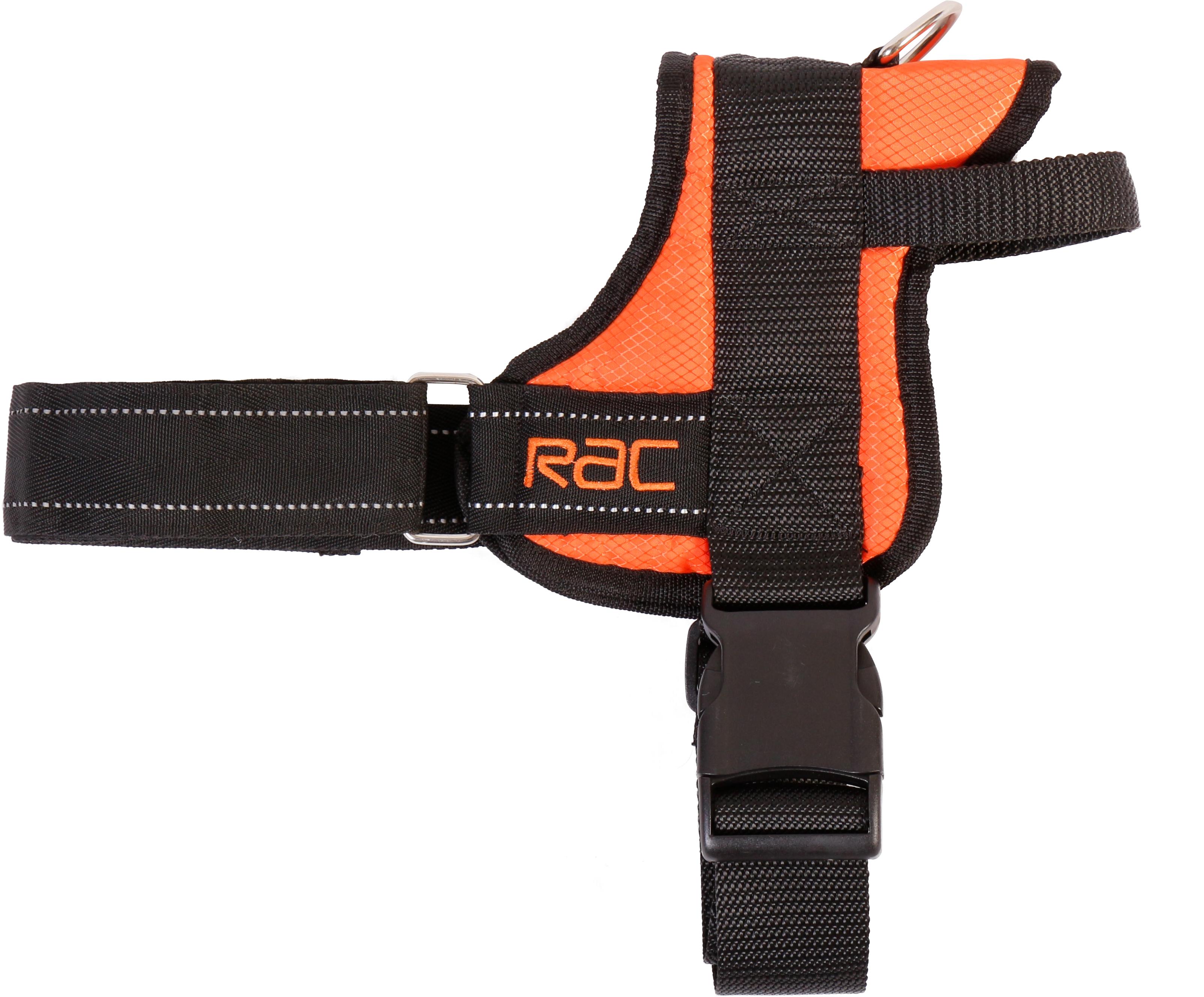 Rac Walking Harness - Large