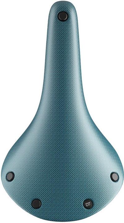 Brooks Cambium C17 Saddle Brooks Cambium C17 Saddle