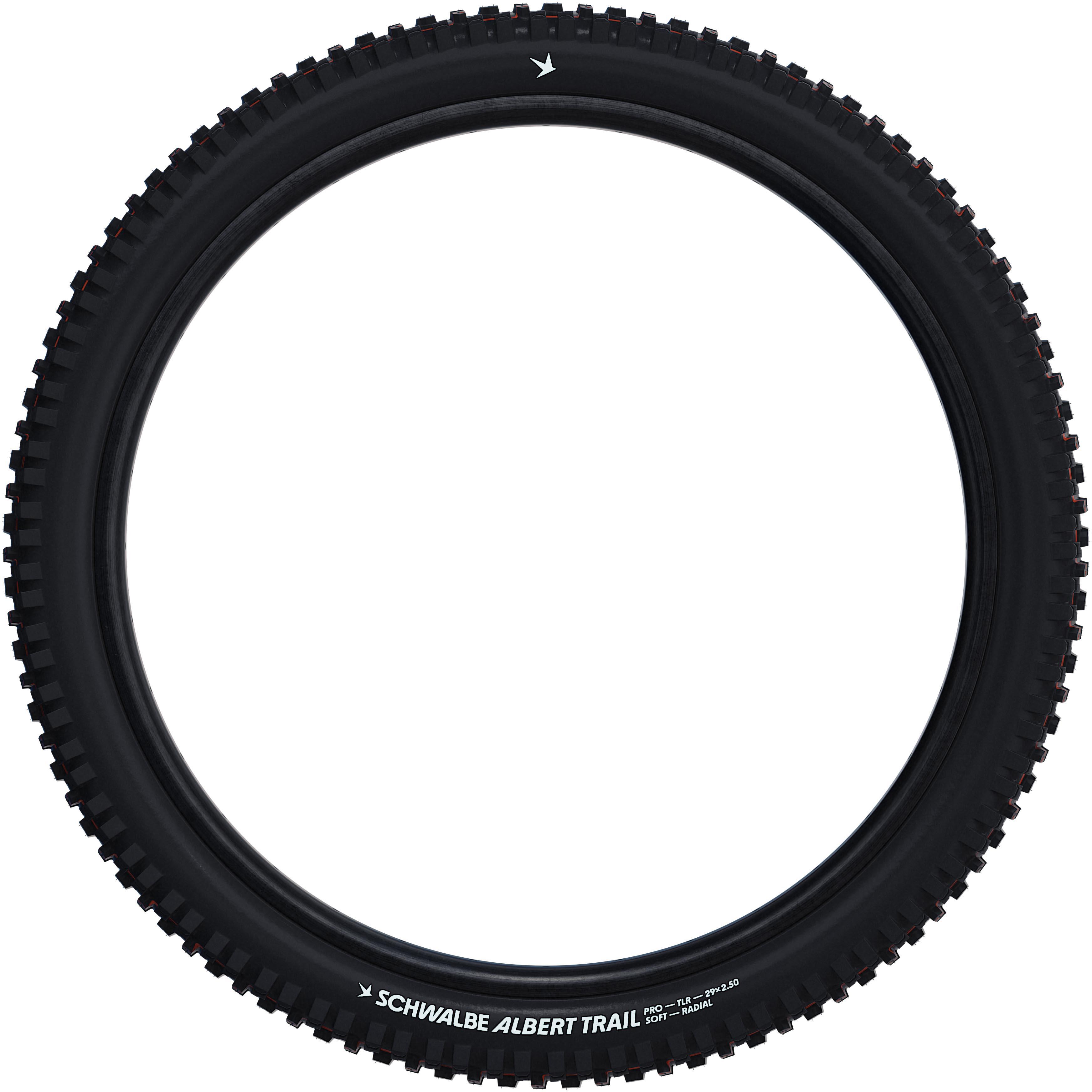 Schwalbe Albert Radial Gravity Pro TLR Tyre, Soft, 29x2.60"