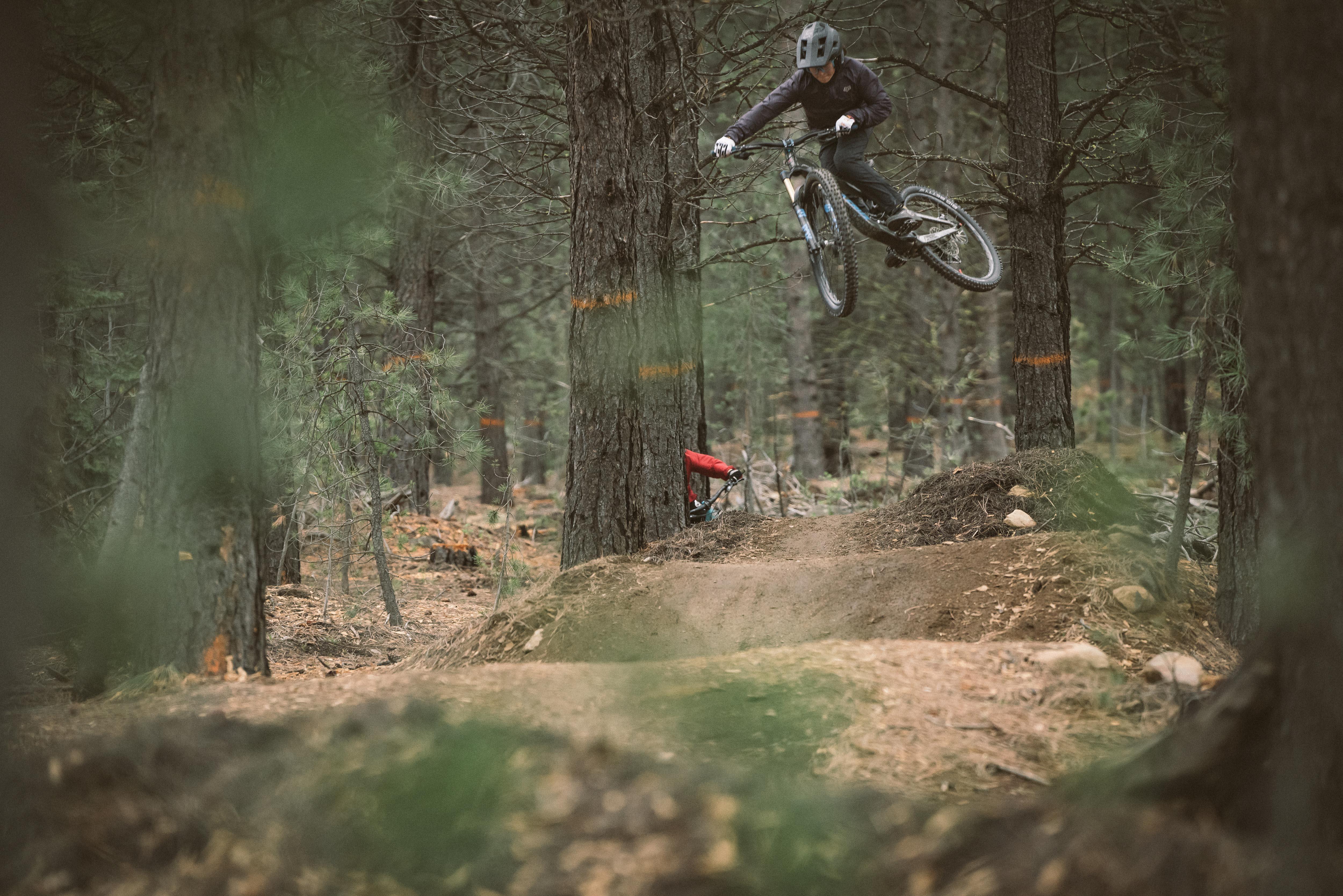 Schwalbe Big Betty BikePark Tyre, 27.5x2.40"