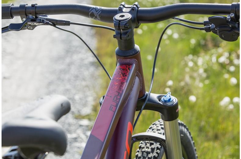 Carrera Fury Mens Mountain Bike - Red - S, M, L Frames Carrera Fury Mens Mountain Bike - Red - S, M, L Frames