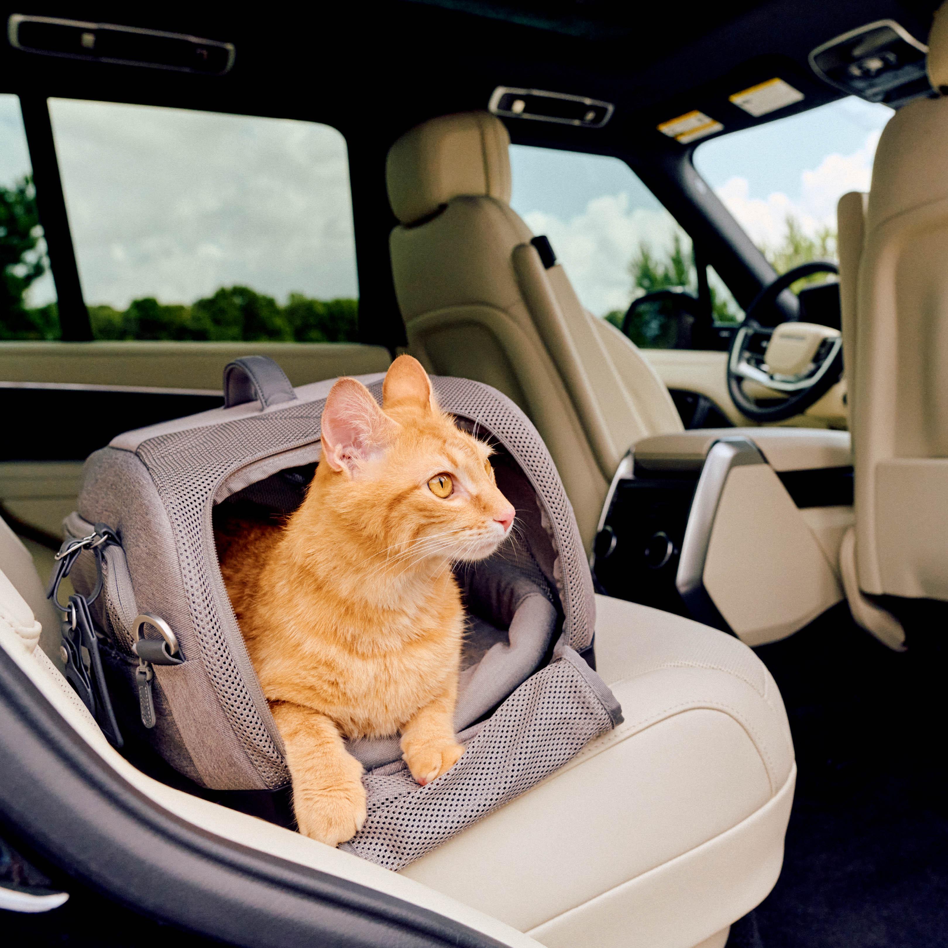 Tavo Dupree Cat & Small Dog Carrier & Car Seat with built in ISOFIX - Merle