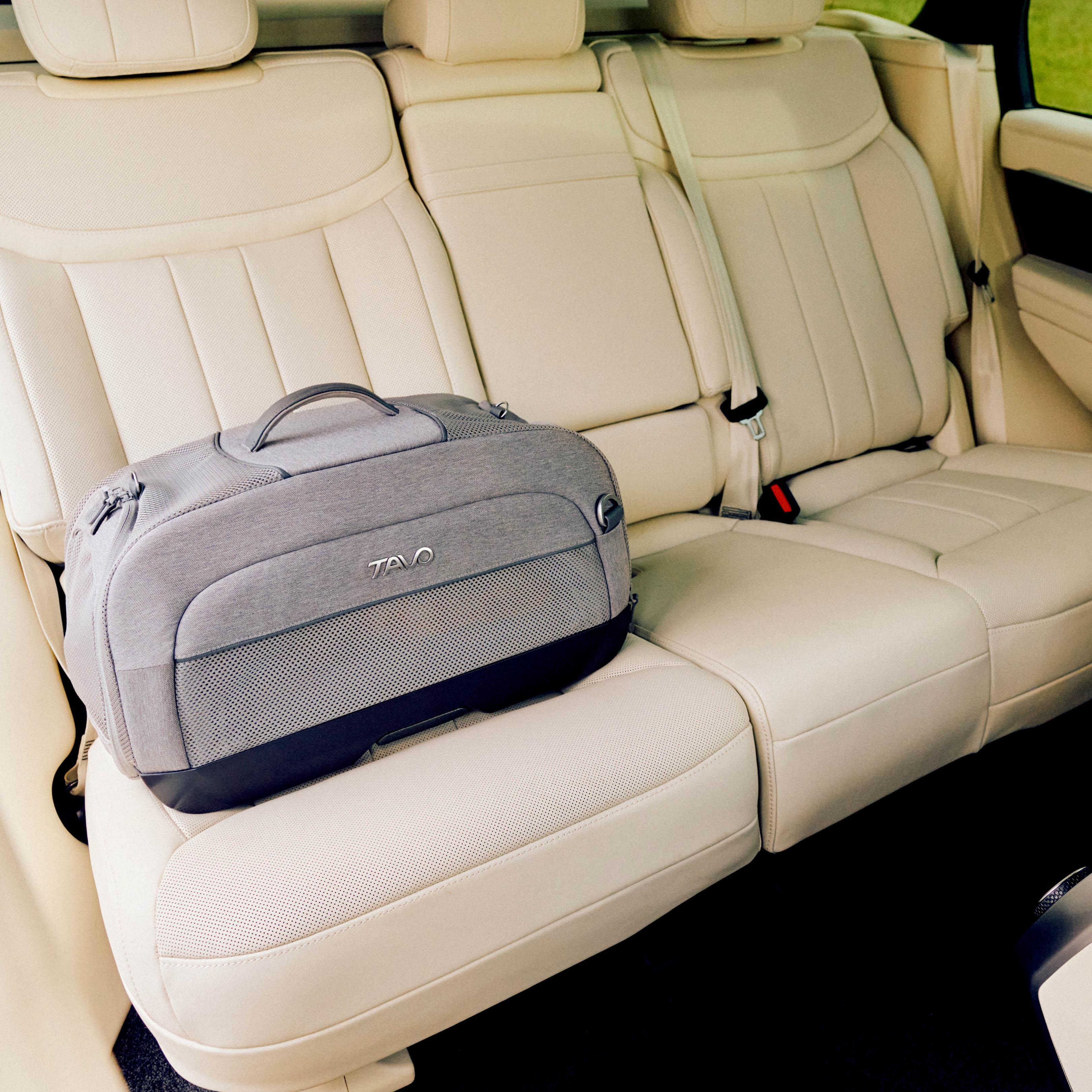 Tavo Dupree Cat & Small Dog Carrier & Car Seat with built in ISOFIX - Merle