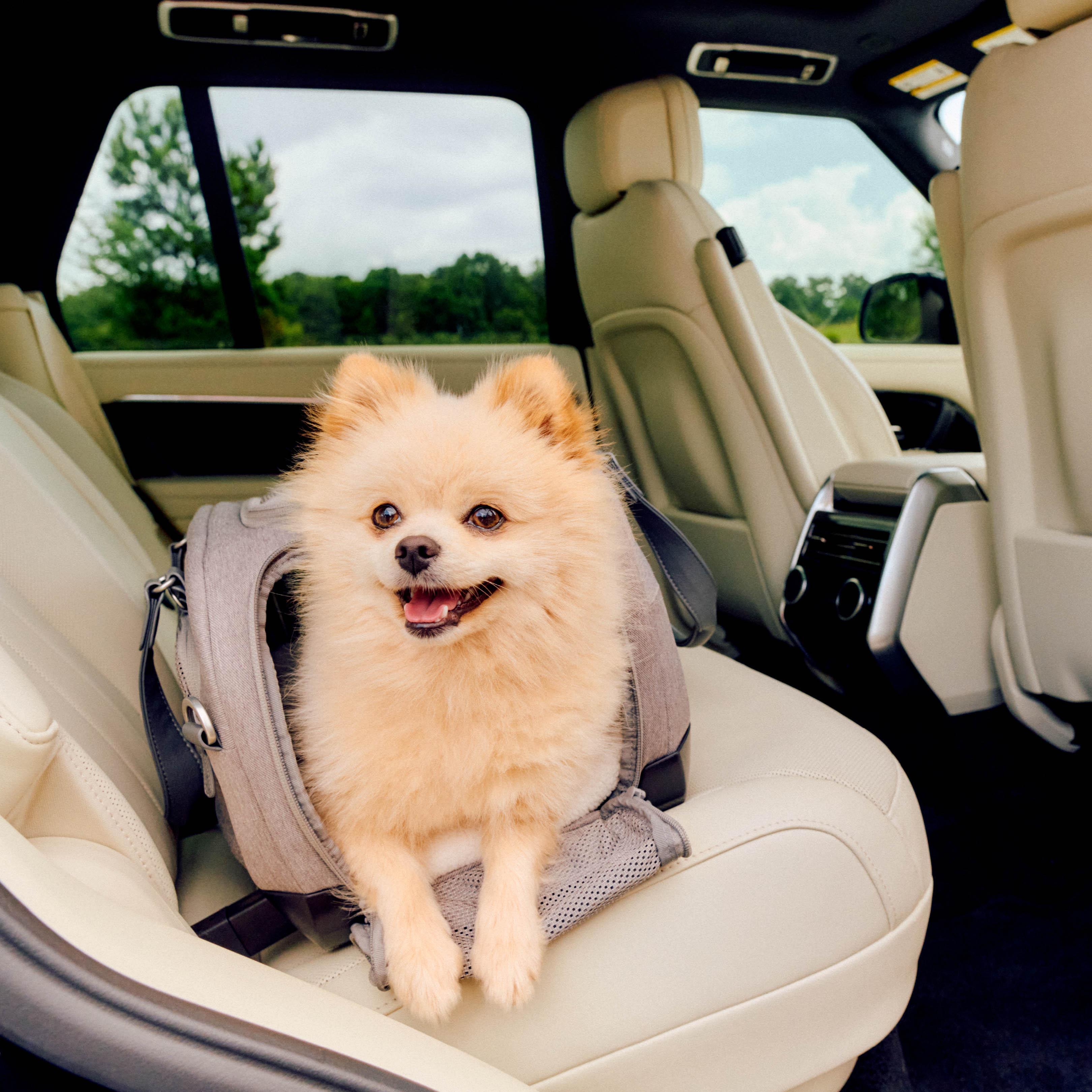 Tavo Dupree Cat & Small Dog Carrier & Car Seat with built in ISOFIX - Merle