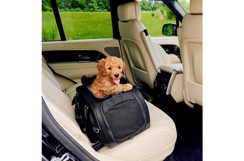 Tavo Dupree Cat & Small Dog Carrier & Car Seat with built in ISOFIX - Onyx Tavo Dupree Cat & Small Dog Carrier & Car Seat with built in ISOFIX - Onyx