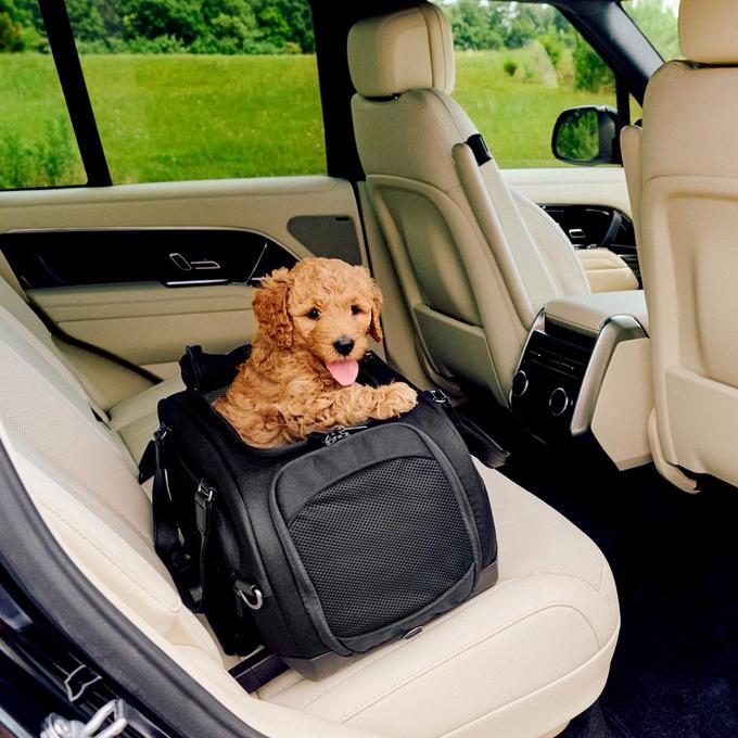 Dog car orders guard halfords