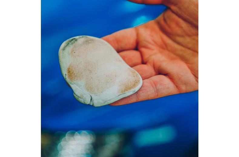 Meguiars Quik Clay Starter Kit Meguiars Quik Clay Starter Kit