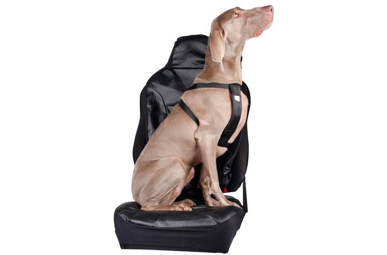 Halfords XL Dog Car Harness Halfords XL Dog Car Harness