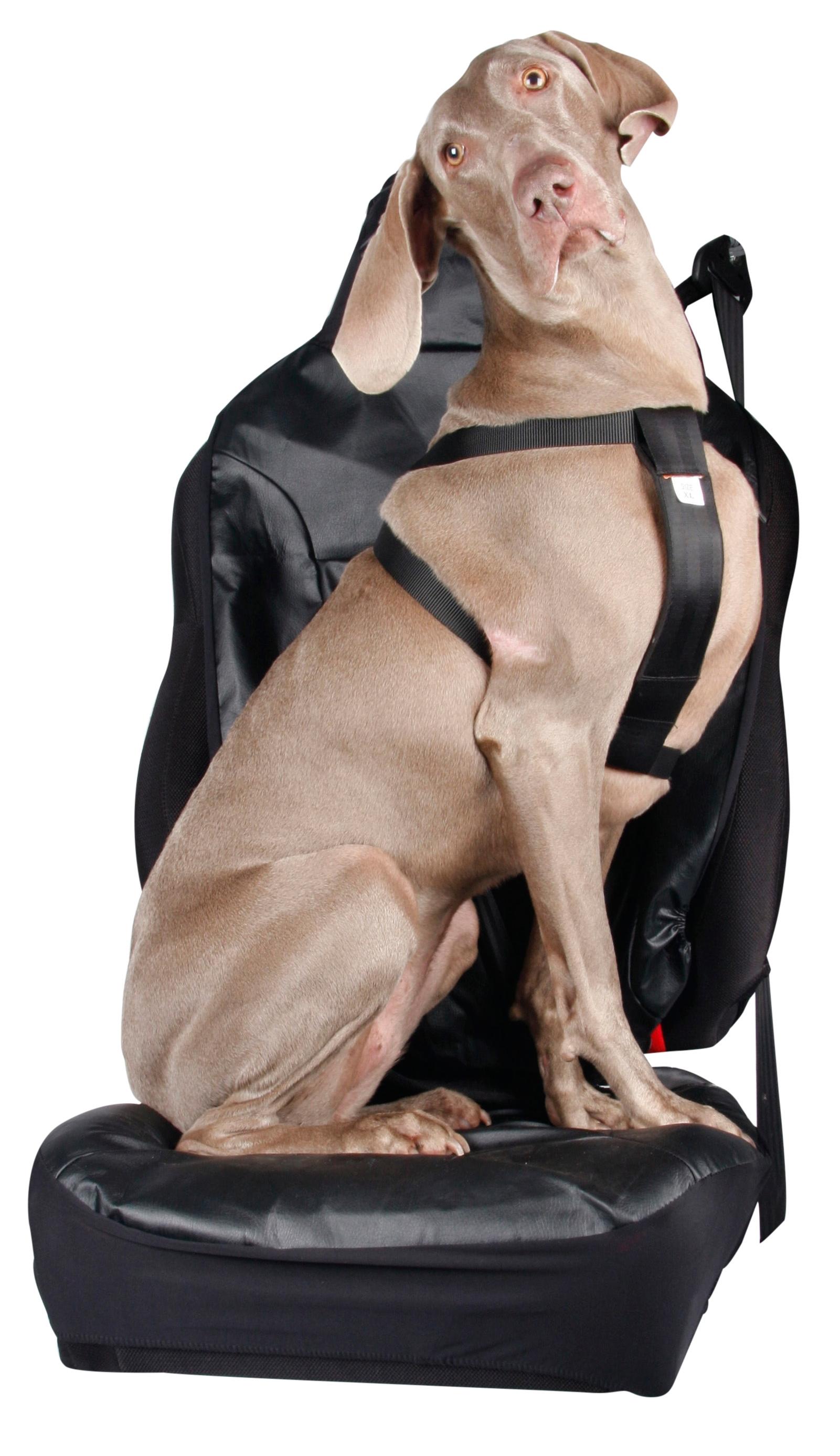 Halfords XL Dog Car Harness
