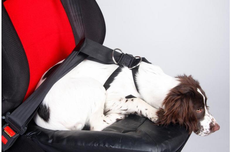 Halfords XL Dog Car Harness Halfords XL Dog Car Harness