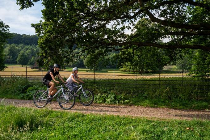 real clifton bike halfords