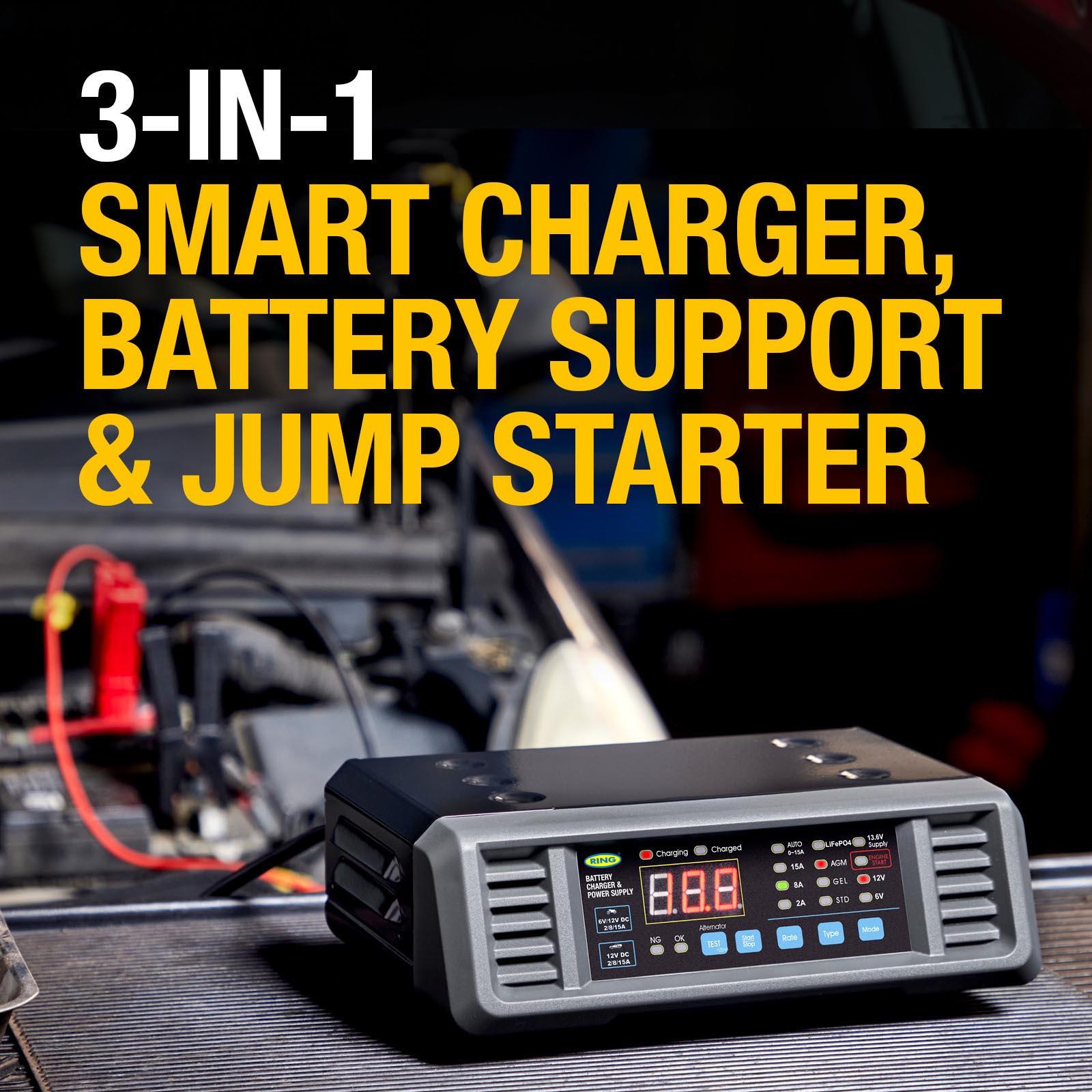 SMARTCHARGE PRO 20A Battery Support Unit 6/12V
