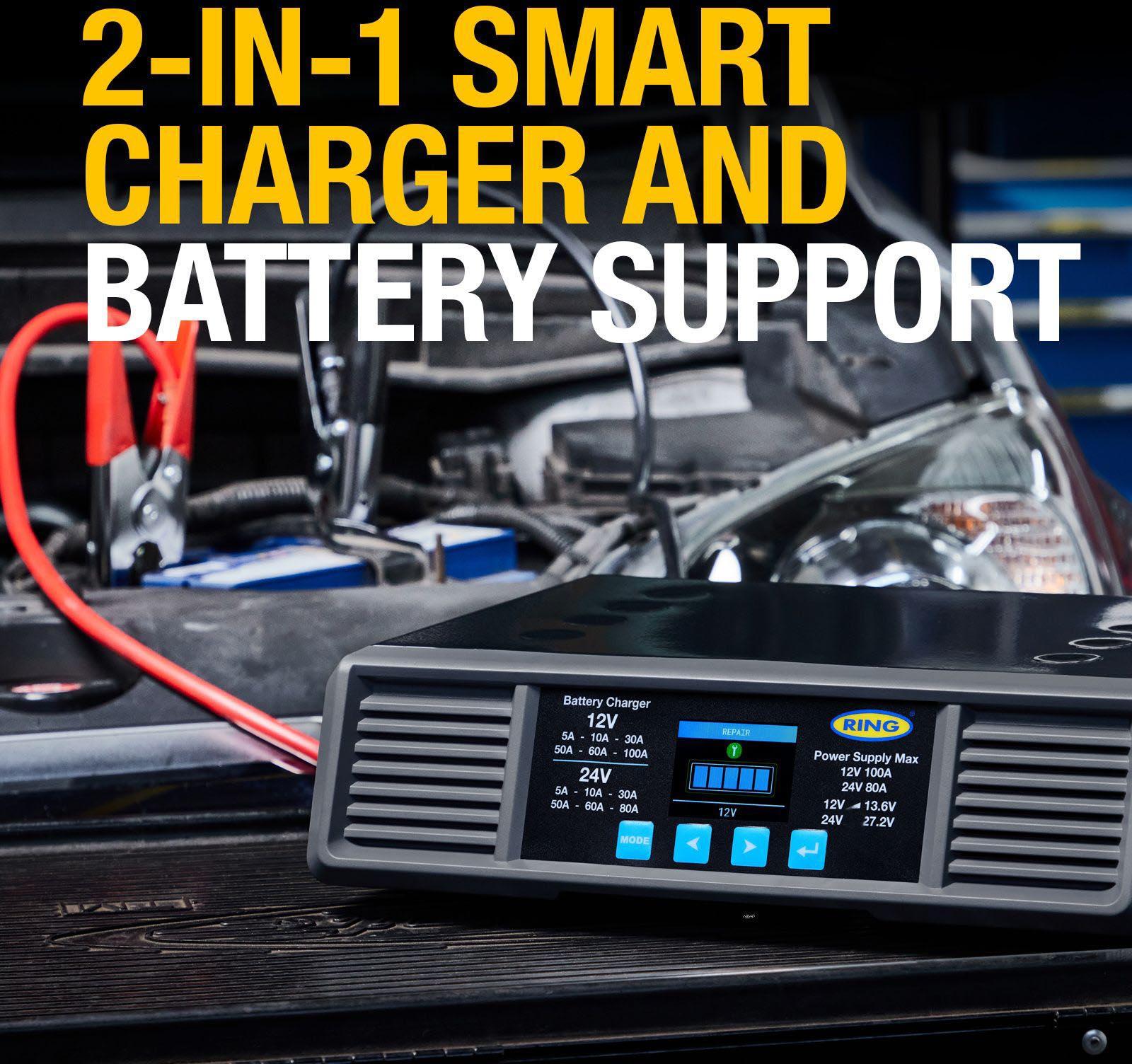 SMARTCHARGE PRO 100A Battery Support Unit 12/24V