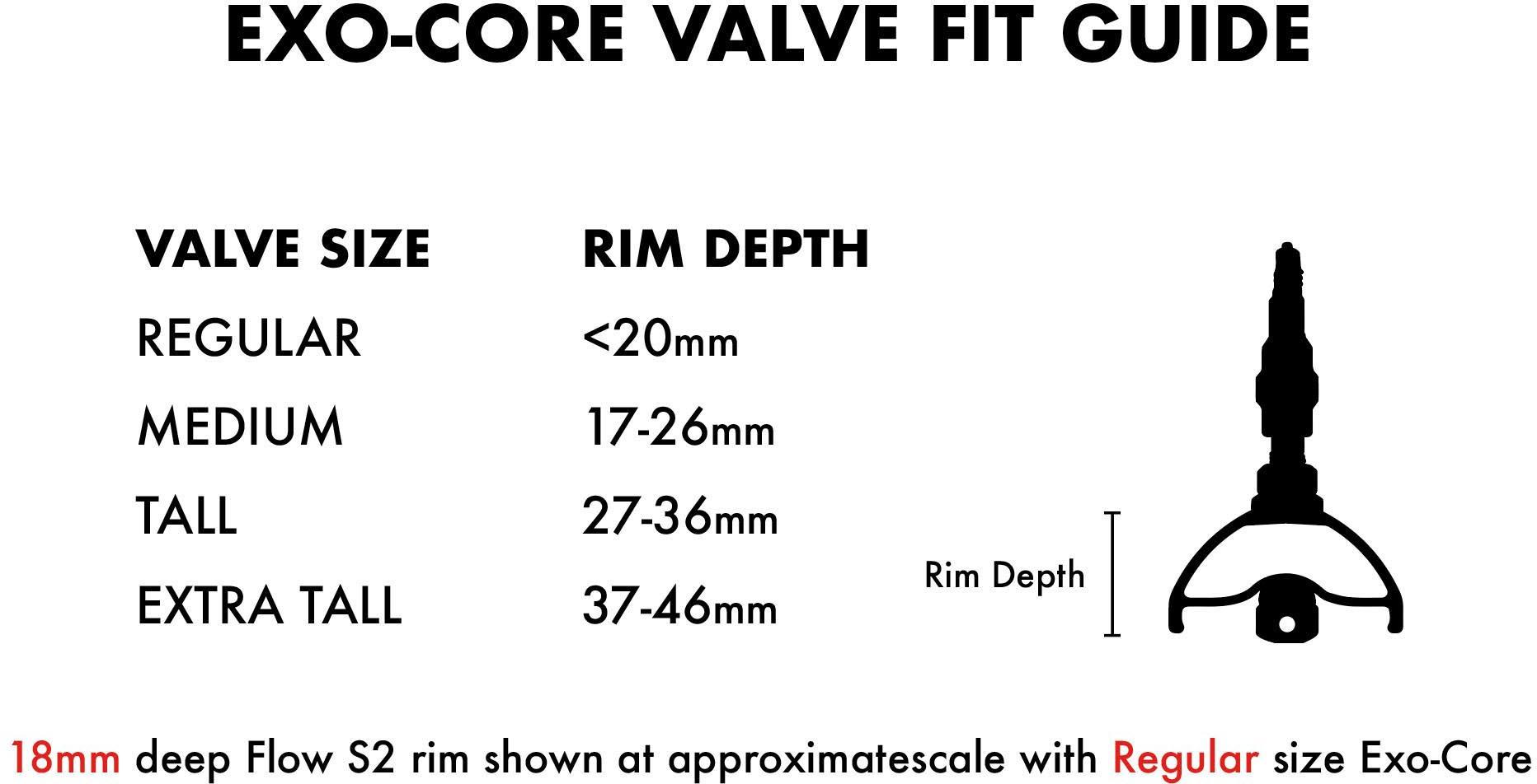 Stans Universal + Tubeless Valves