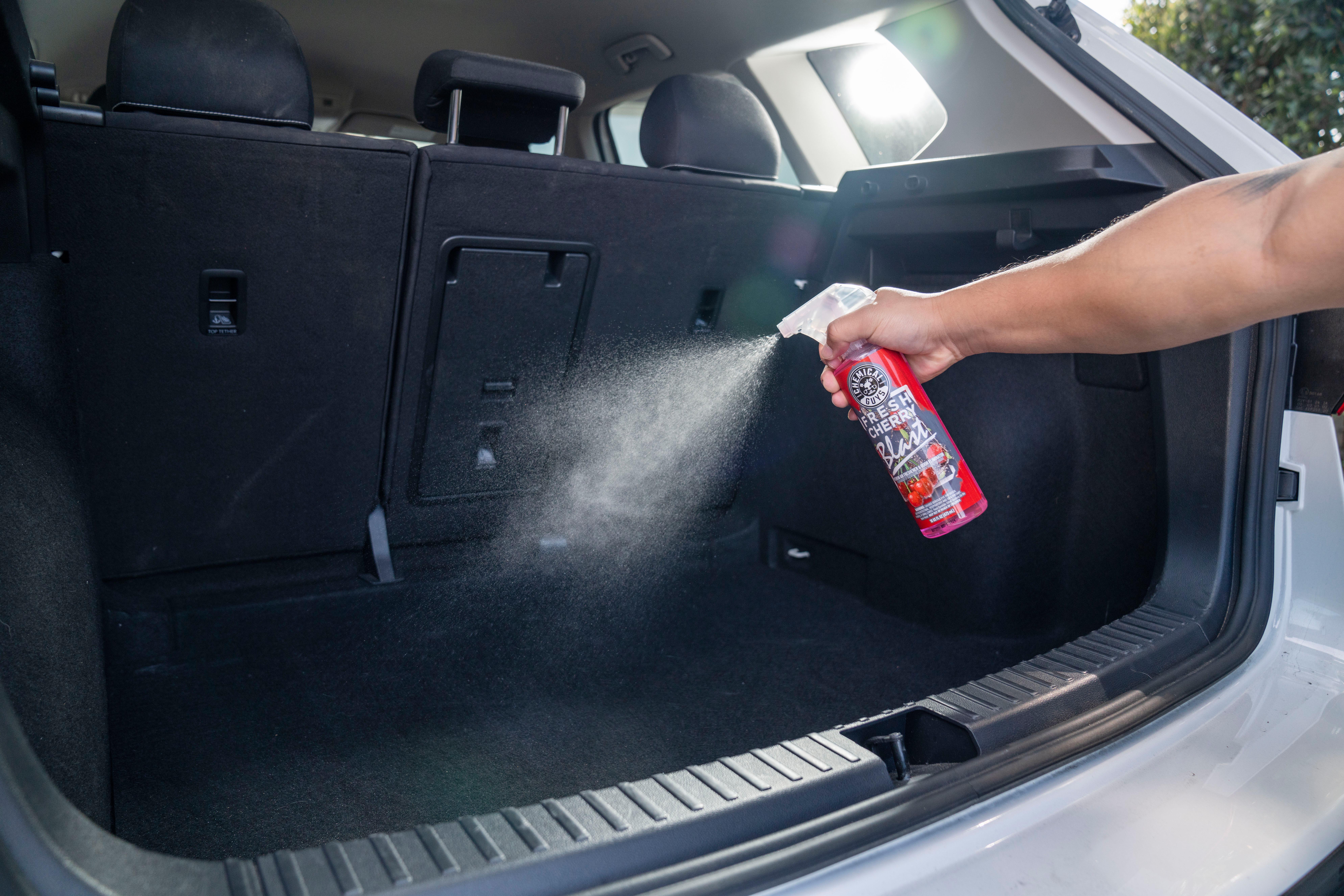 Chemical Guys Fresh Cherry Blast Air Freshener