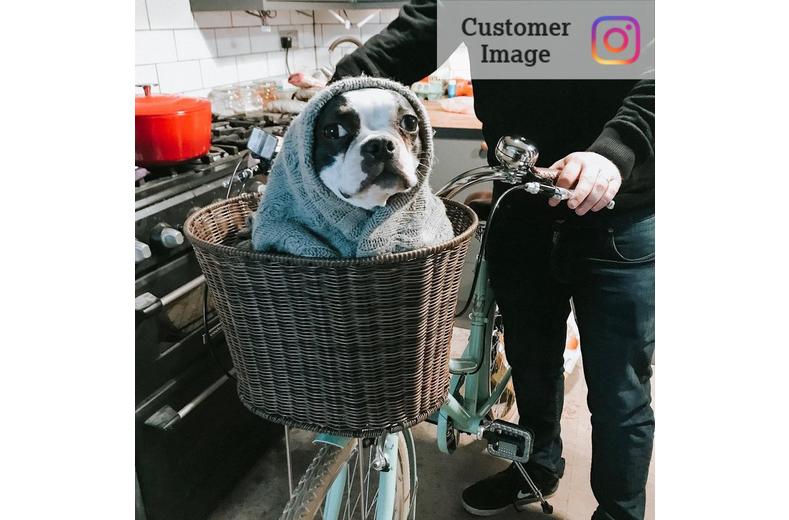 Pendleton Wicker Style Front Basket Pendleton Wicker Style Front Basket