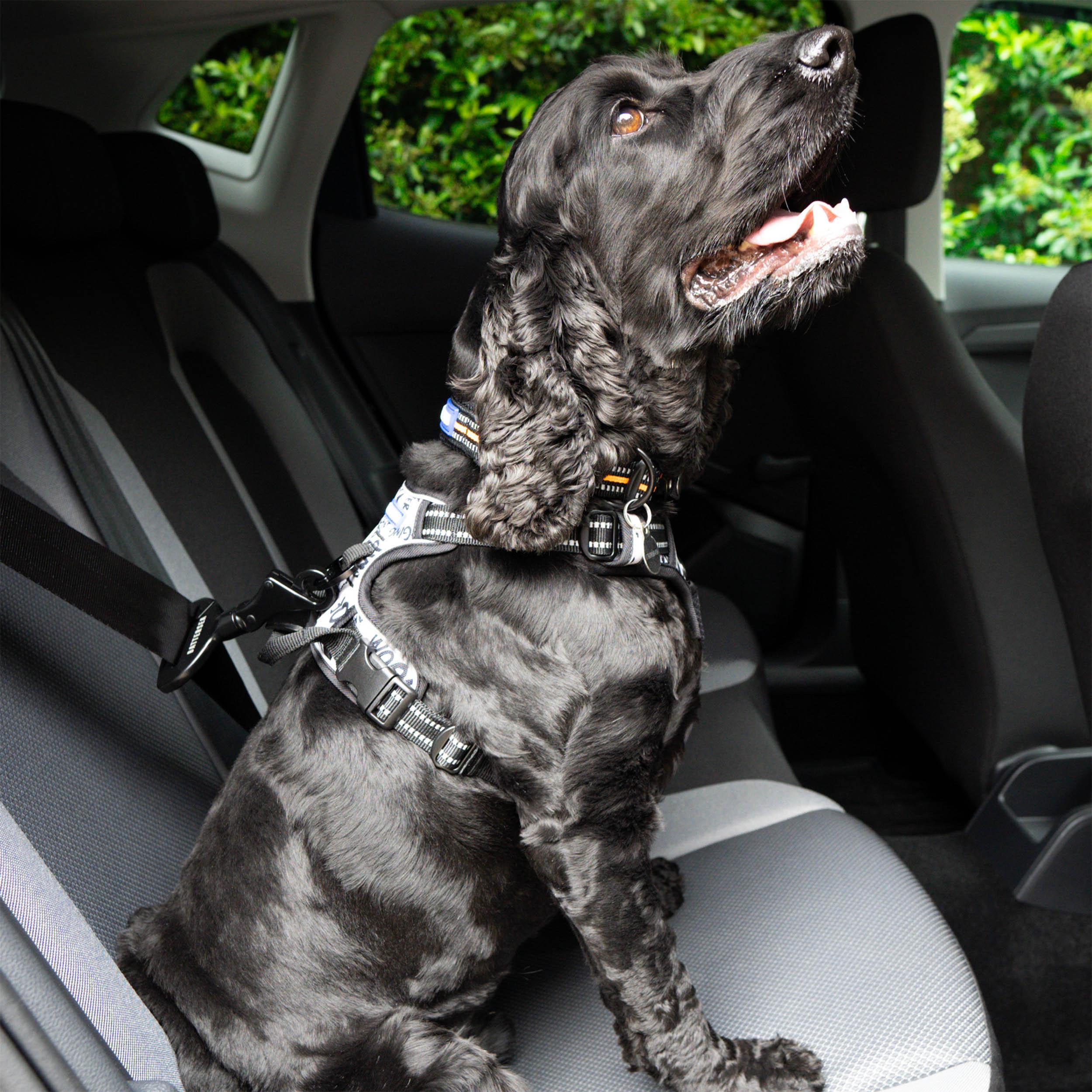 Battersea Seat Belt Clip