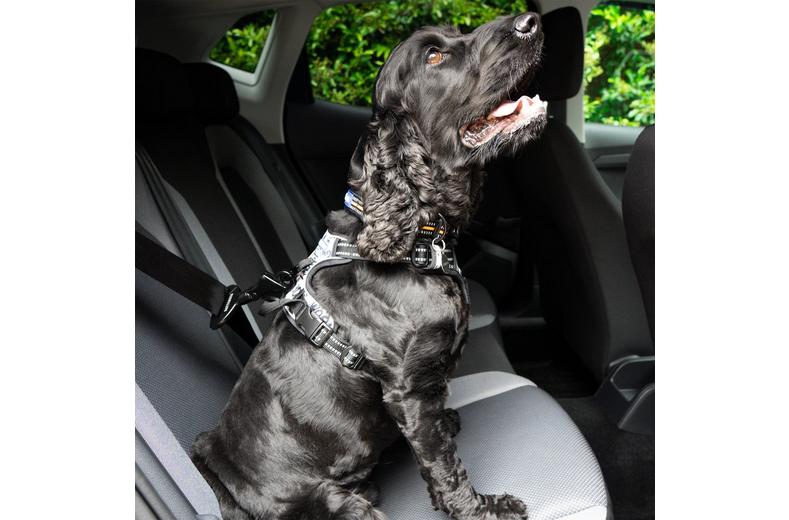 Battersea Seat Belt Clip Battersea Seat Belt Clip
