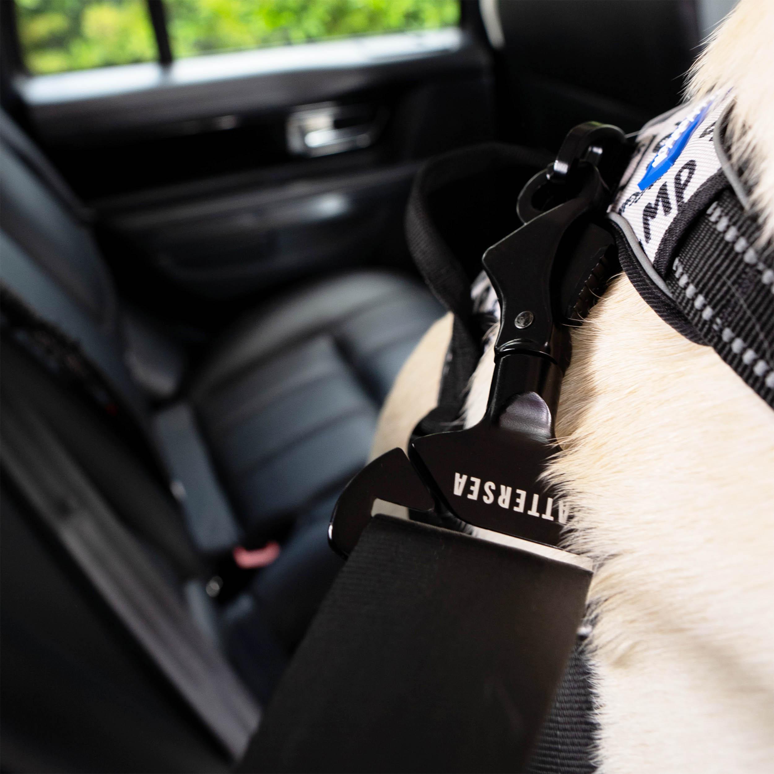 Battersea Seat Belt Clip