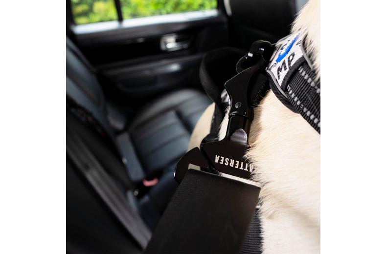 Battersea Seat Belt Clip Battersea Seat Belt Clip