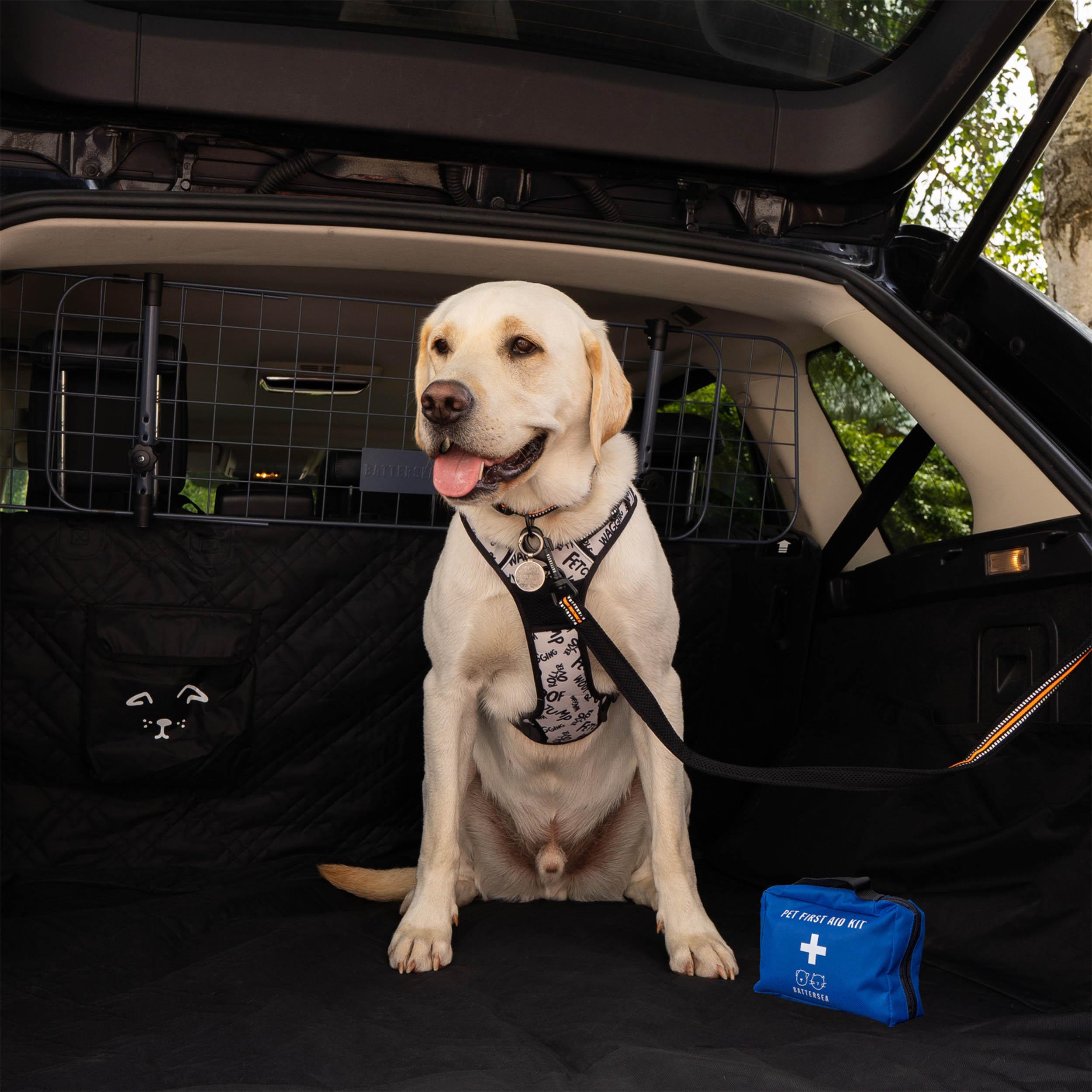 Battersea Pet First Aid Kit