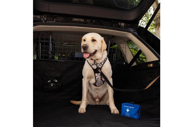 Battersea Pet First Aid Kit Battersea Pet First Aid Kit