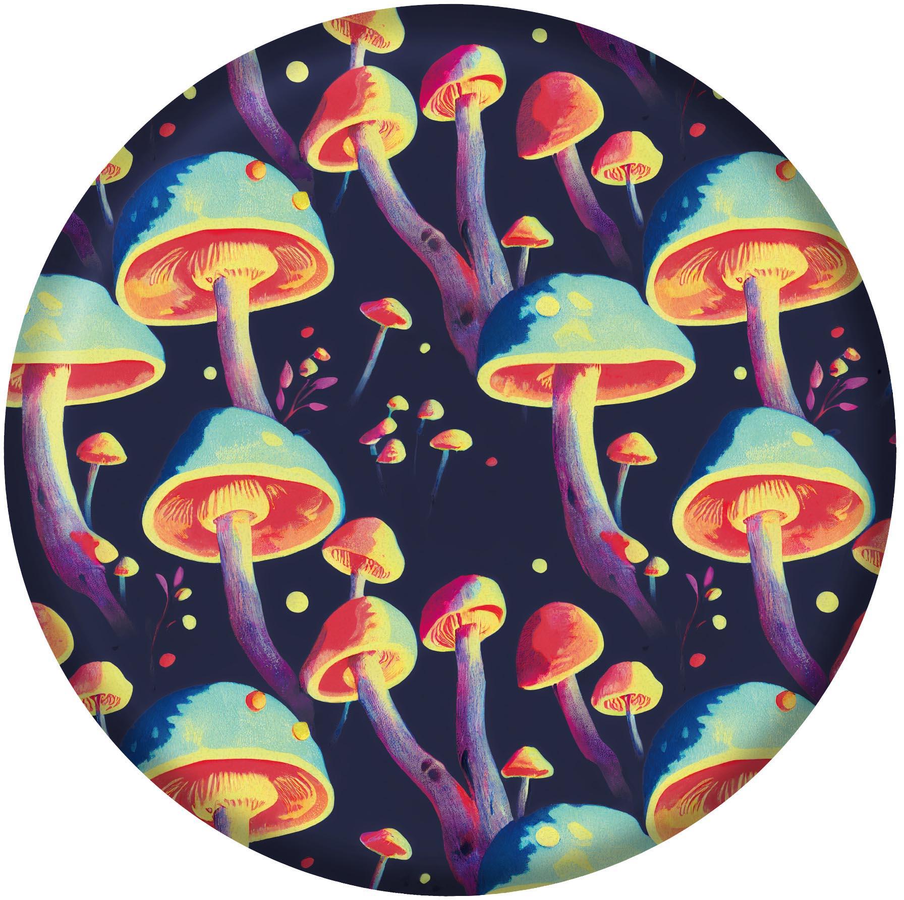 Waboba Wingman Frisbee