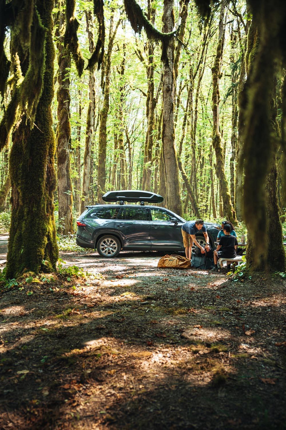 Thule Force 3 L