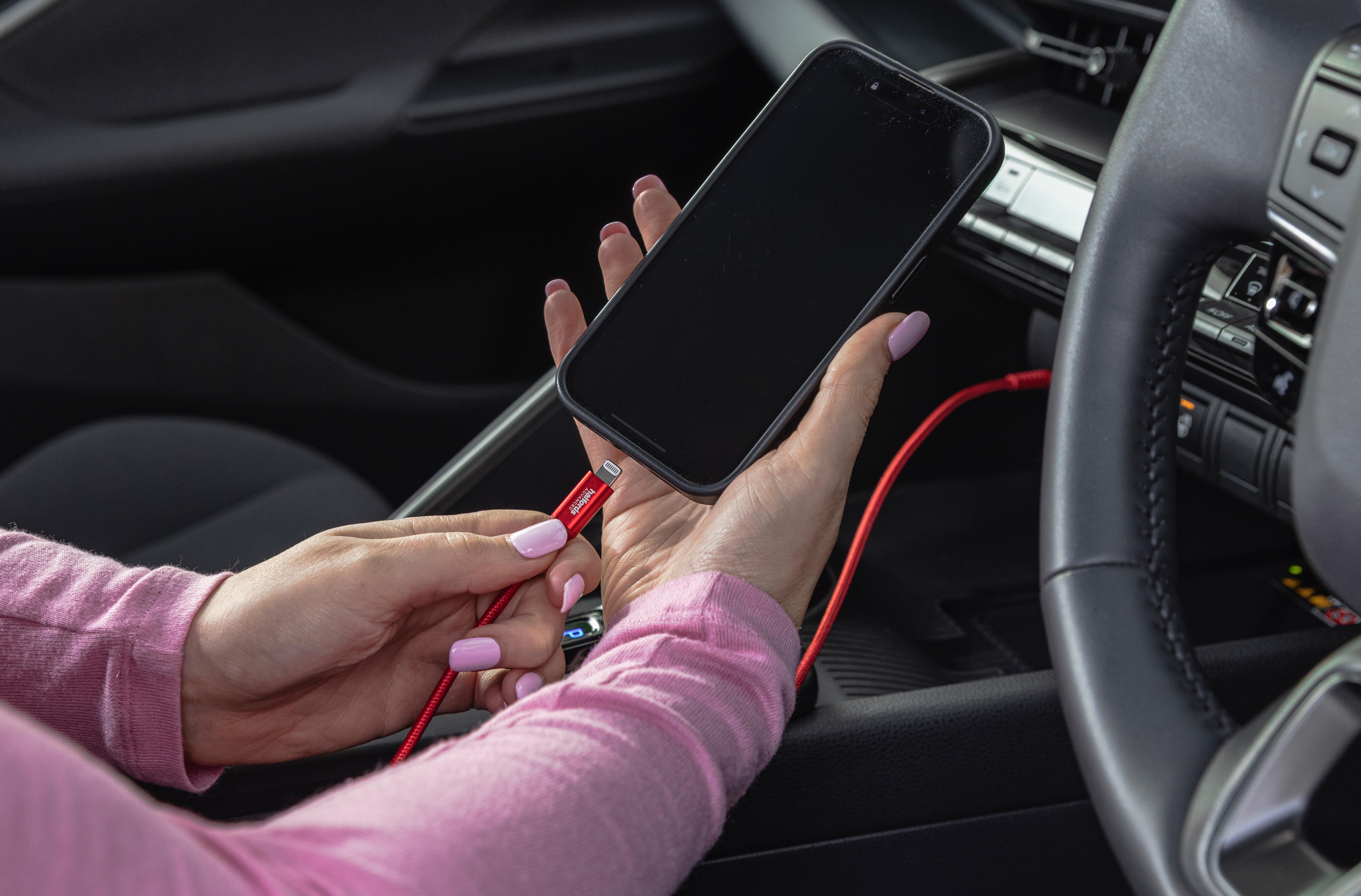 Halfords USB-C to Lightning 1.2m Red