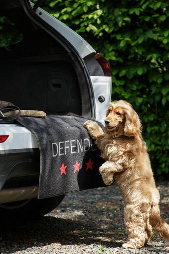 Pet Rebellion Car Boot and Bumper Defender
