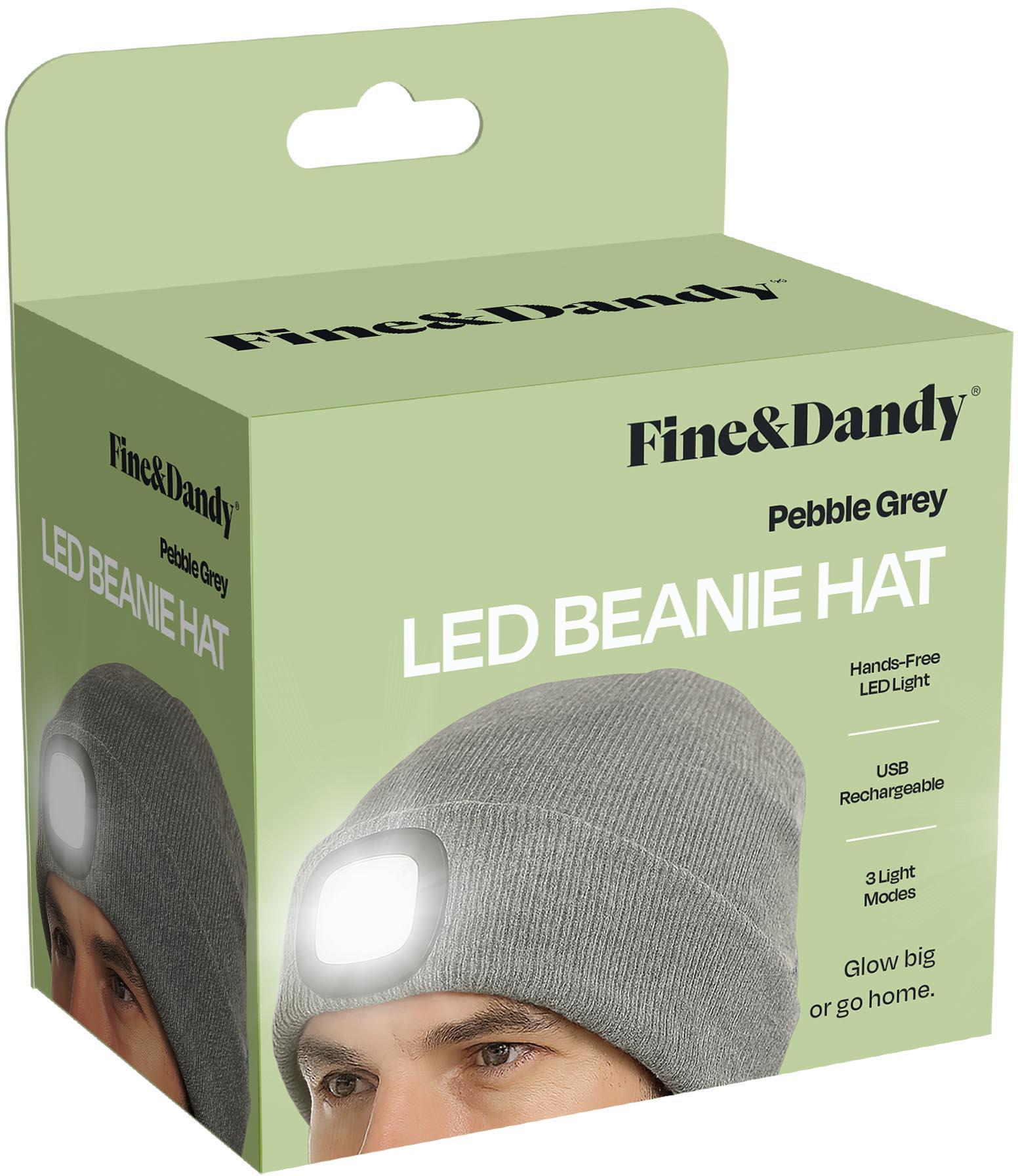 Fine & Dandy Beanie Hat with LED