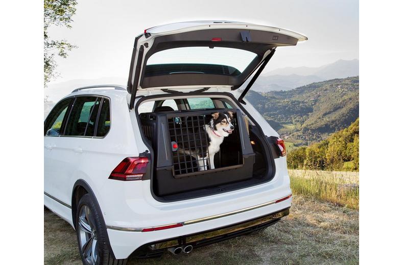 Ferplast Atlas Car 100 Scenic Ferplast Atlas Car 100 Scenic