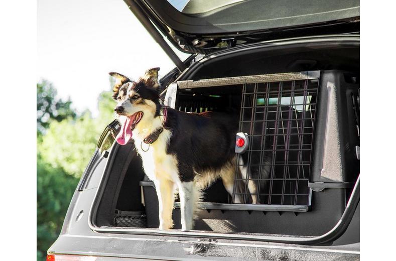 Ferplast Atlas Car 100 Scenic Ferplast Atlas Car 100 Scenic