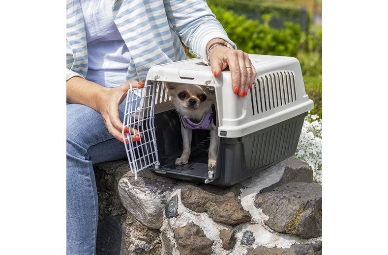 Ferplast Small Animal Carrier large Ferplast Small Animal Carrier large