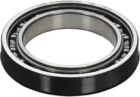 Halfords Campagnolo Record 11X Ultra Bearings | Extra 8% off for BC Members