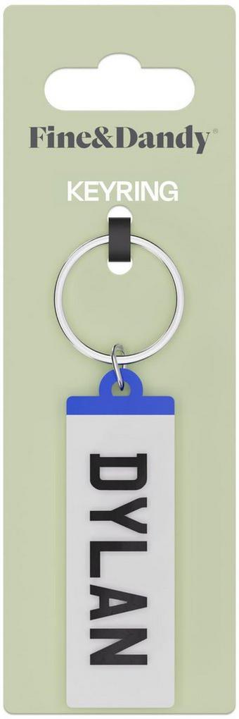 Fine and Dandy Dylan Number Plate Keyring