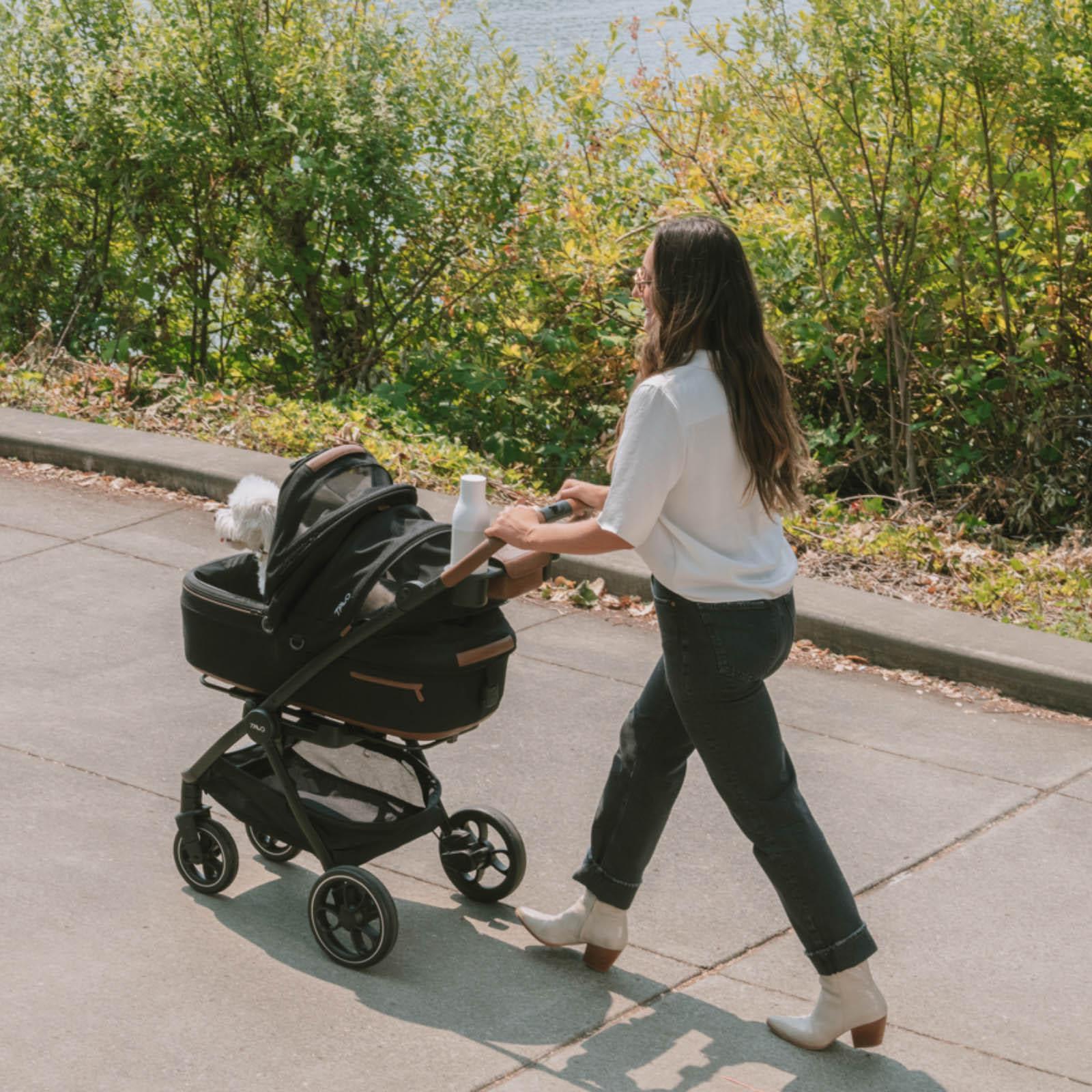 Tavo Roscoe - Pet and Dog Stroller