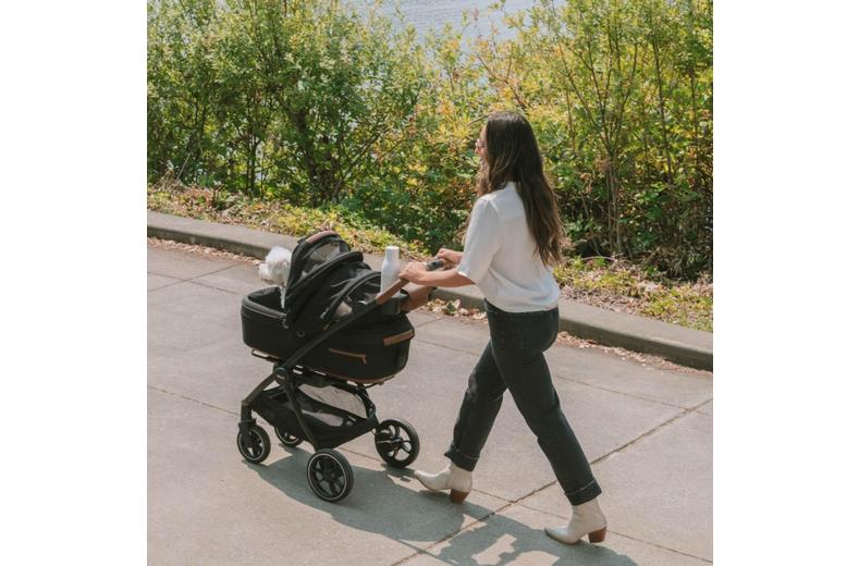 Tavo Roscoe - Pet and Dog Stroller Tavo Roscoe - Pet and Dog Stroller