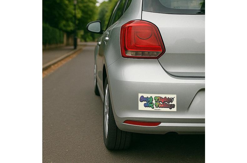 Catch Flights Bumper Sticker Catch Flights Bumper Sticker