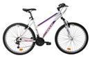 Indur discount womens bike