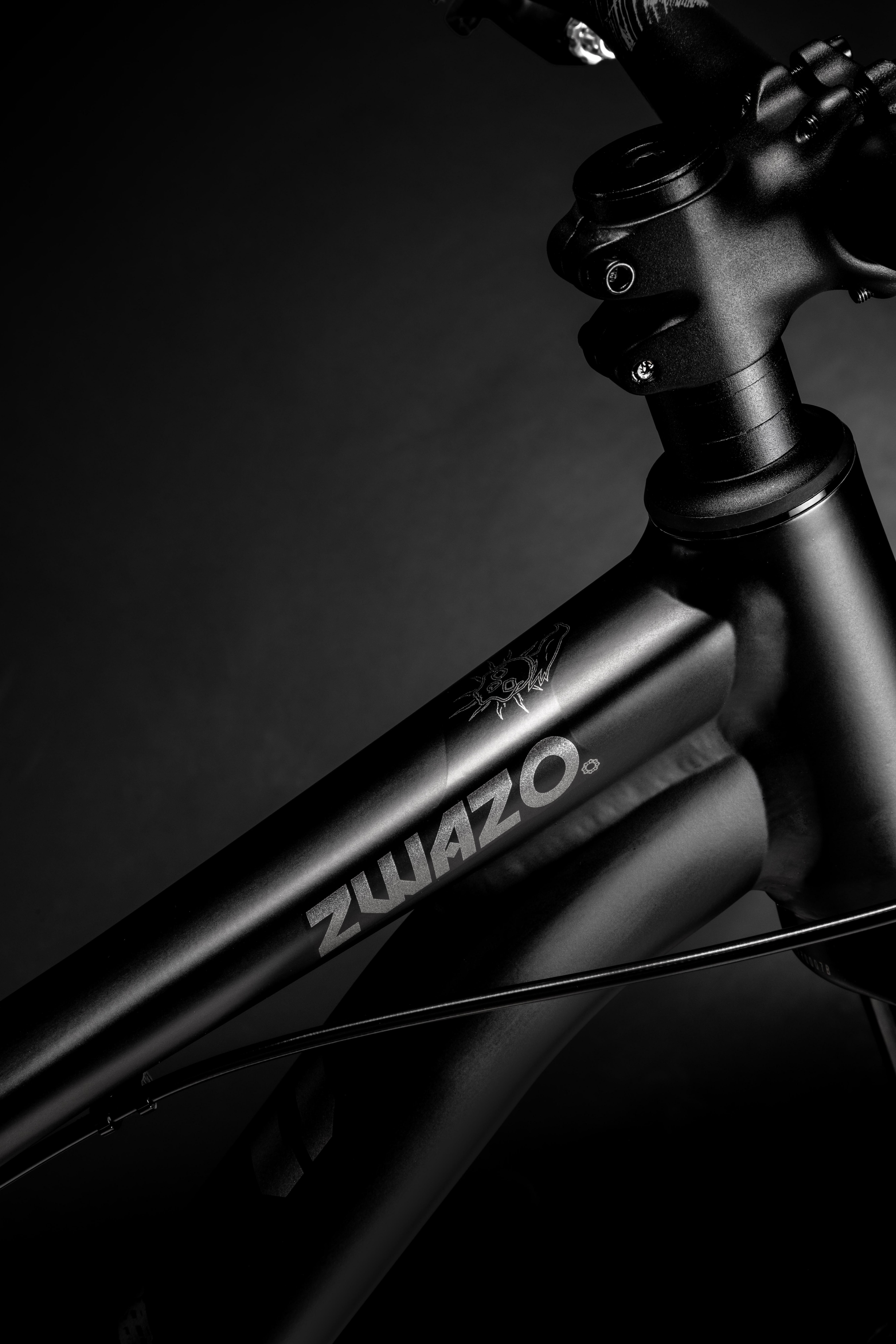 Voodoo Zwazo Dirt Jump Bike