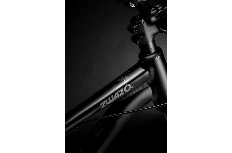 Voodoo Zwazo Dirt Jump Bike Voodoo Zwazo Dirt Jump Bike