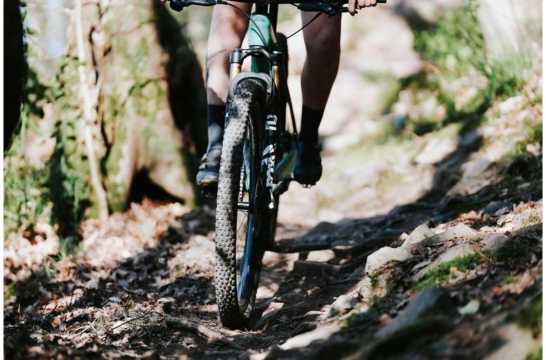 Continental Trinotal Race MTB Tyre, Rapid 29x2.40" Continental Trinotal Race MTB Tyre, Rapid 29x2.40"