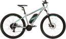 Carrera ladies 2025 electric bike