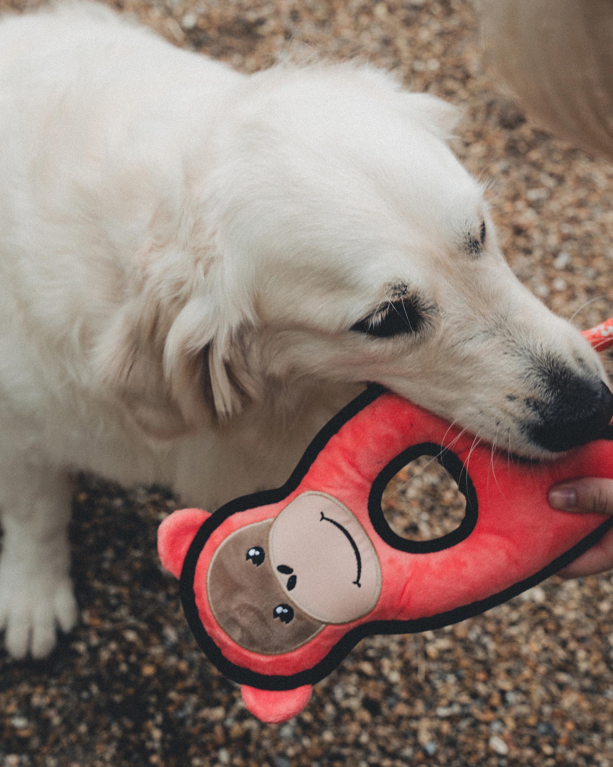 Beco Plush Orangutan Dog Toy Large
