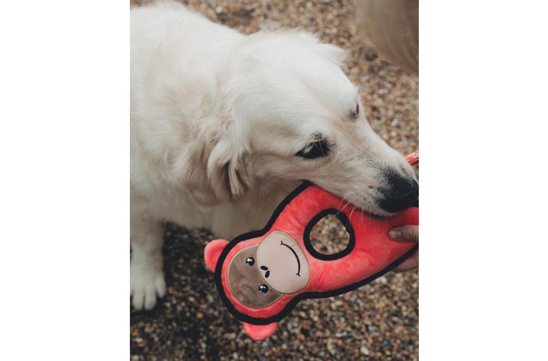 Beco Plush Orangutan Dog Toy Large Beco Plush Orangutan Dog Toy Large