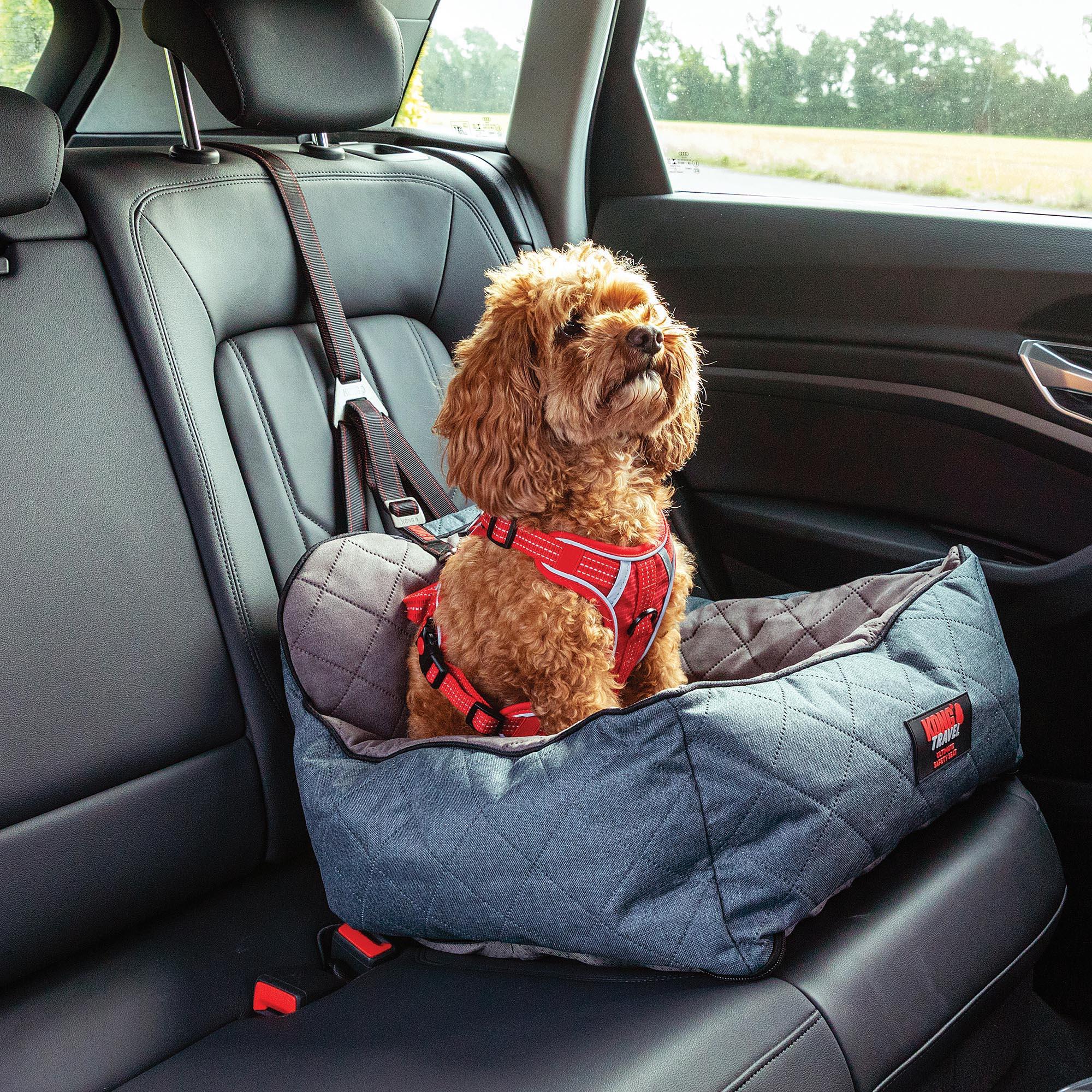 KONG Ultimate Safety Seat & Tether