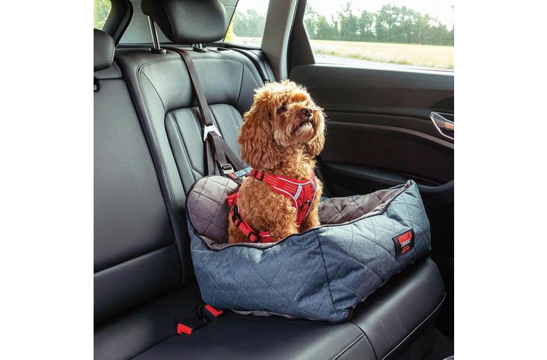 KONG Ultimate Safety Seat & Tether KONG Ultimate Safety Seat & Tether